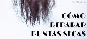 Catálogo para comprar On-line mascarillas para hidratar las puntas del cabello – El Top Treinta