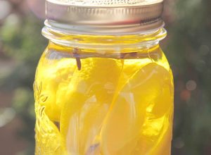 La mejor recopilación de limones con clavos para comprar online – Favoritos por los clientes