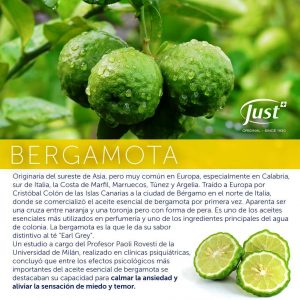 Listado de just aceite corporal bergamota para comprar – Los mejores