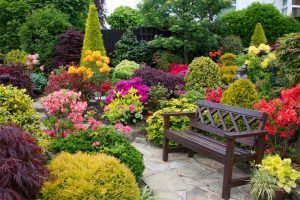 Jardin de las Flores disponibles para comprar online