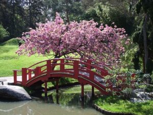 La mejor recopilación de jardin japonais Collectif para comprar on-line – Los más solicitados