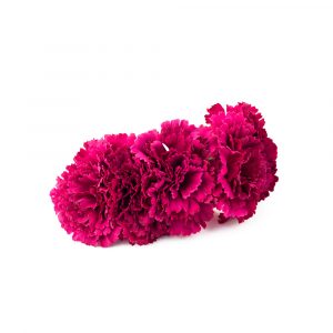 Opiniones y reviews de flores para el pelo de flamenca para comprar en Internet – Los preferidos por los clientes