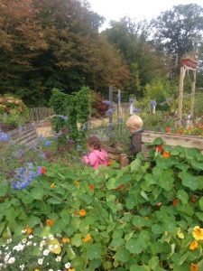 jardin plaisir avec enfants disponibles para comprar online