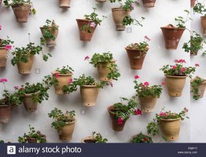 Ya puedes comprar on-line los jardin vertical pared Macetas flores – El TOP 30