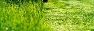 Listado de cortacesped hierba alta para comprar – Los 20 más solicitado