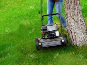 Ya puedes comprar online los maquina de cortar hierba – Favoritos por los clientes